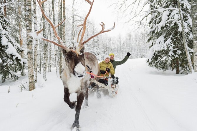 Reindeer Sleigh Ride and Farm Experience from Rovaniemi - Guide quality and language options