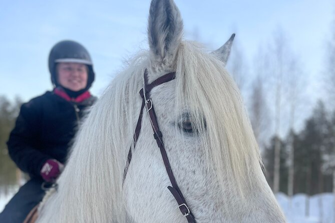 Riding Tour with Finnhorses at Santa Claus Village - The one-hour ride through the winter forest
