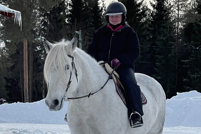 Riding Tour with Finnhorses at Santa Claus Village - Campfire time, cookies, and a warmer ending