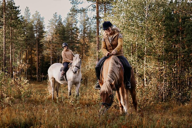 Riding Tour with Finnhorses at Santa Claus Village - What the $126 price means