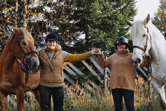 Riding Tour with Finnhorses at Santa Claus Village - Why the beginner-friendly pace matters