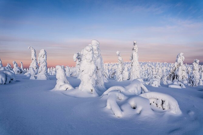 Riisitunturi wilderness adventure - Key points to know before booking