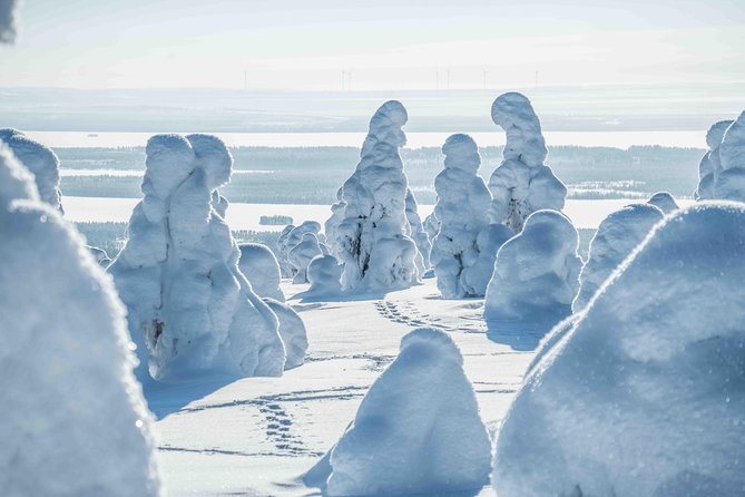 Riisitunturi wilderness adventure - The value of a private photography guide