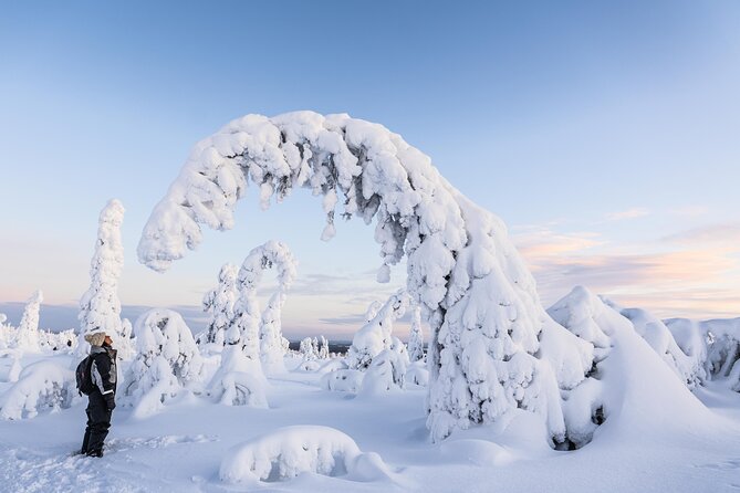 Riisitunturi wilderness adventure - Weather, snow, and short daylight