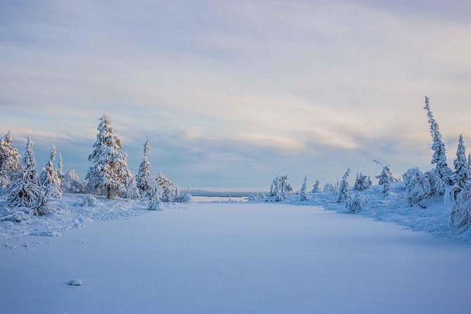 Riisitunturi wilderness adventure - Is $205.84 a fair price?
