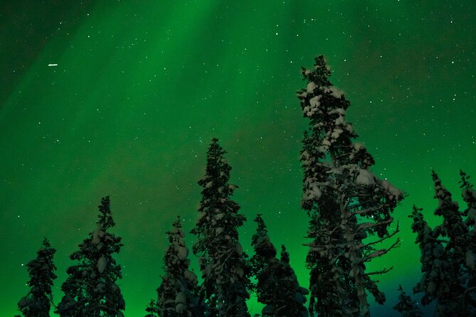 Rovaniemi 2 days Activities Package - The Northern Lights search can be magical, or simply cold