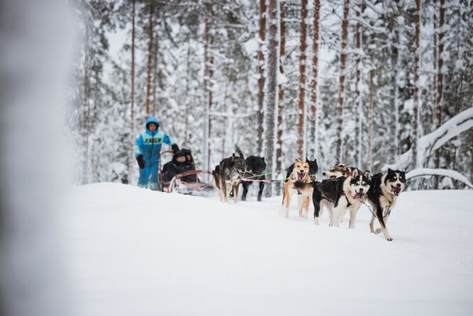 Rovaniemi 2 days Activities Package - Who will enjoy this most?