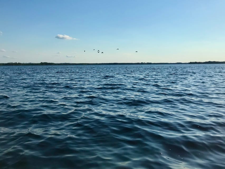Rovaniemi: All-Day Canoe Adventure - Is $176 a Fair Price?