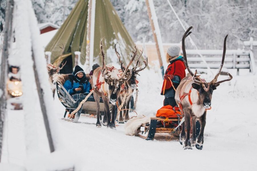 Rovaniemi: Apukka Reindeer Journey - Key points to know before booking