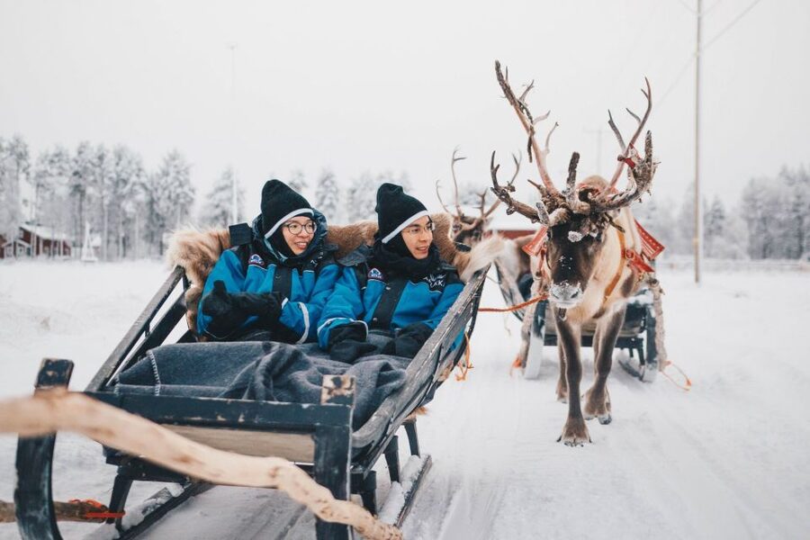 Rovaniemi: Apukka Reindeer Journey - Meeting the reindeer before the sleigh ride