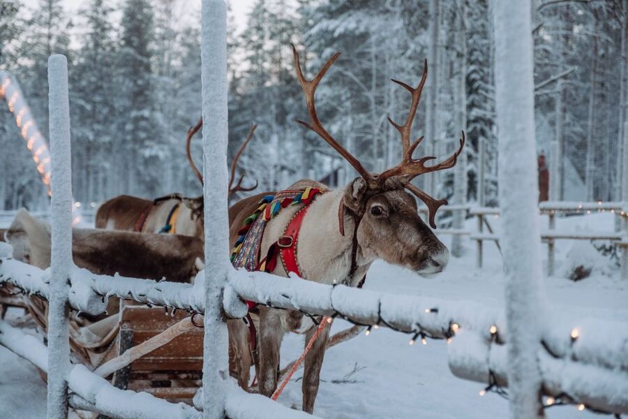 Rovaniemi: Apukka Reindeer Journey - Getting ready for the Arctic cold