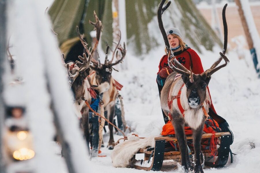 Rovaniemi: Apukka Reindeer Sleigh Ride at Night - Key points to know before booking