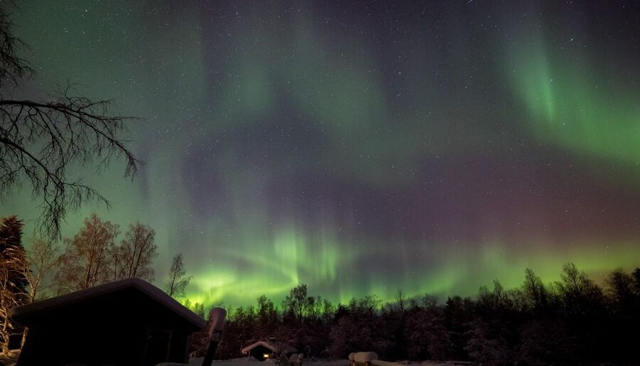 Rovaniemi: Apukka Reindeer Sleigh Ride at Night - What the three-hour experience feels like