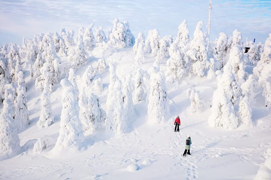 Rovaniemi: Arctic Animals Sleigh Rides and Wildlife Zoo - The guide can shape the whole day