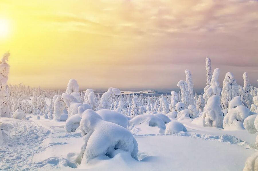 Rovaniemi: Arctic Animals Sleigh Rides and Wildlife Zoo - Meeting huskies and taking the first sleigh ride
