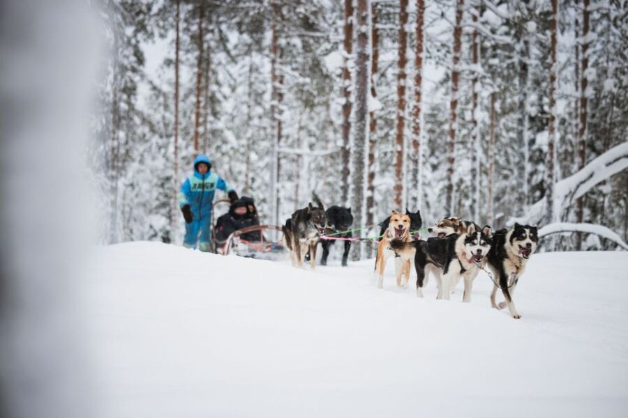Rovaniemi: Arctic Circle Highlights by Snowmobile - Key points to know before booking