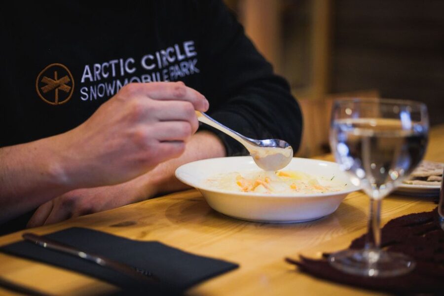 Rovaniemi: Arctic Circle Highlights by Snowmobile - One hour on a snowmobile through Arctic forest