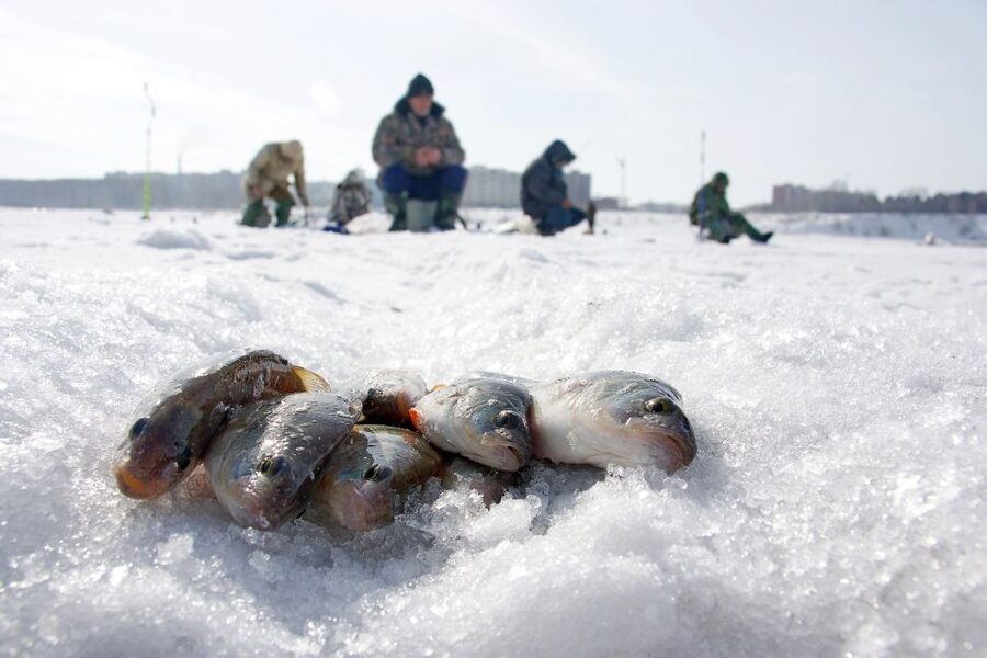 Rovaniemi: Arctic Circle Ice Fishing Experience - The campfire break on the frozen lake