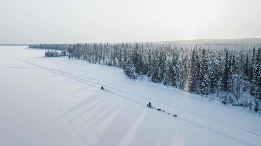 Rovaniemi: Arctic Circle Long Trail Husky Adventure - Meeting the Alaskan Huskies before the ride