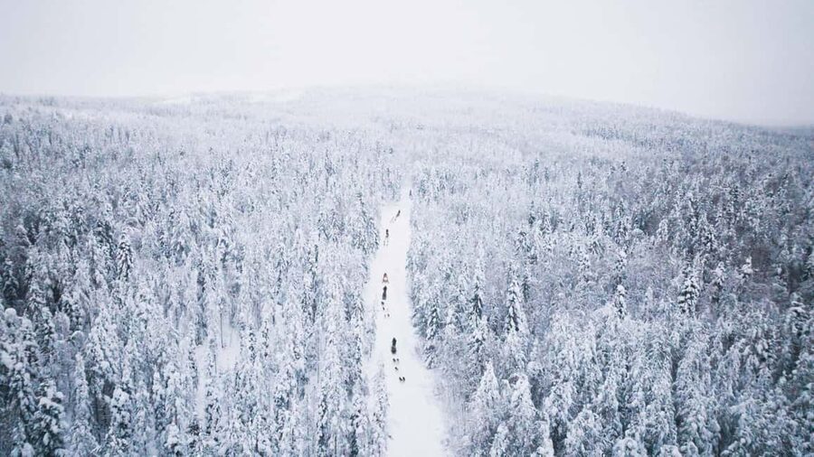 Rovaniemi: Arctic Circle Long Trail Husky Adventure - Winter clothing and comfort