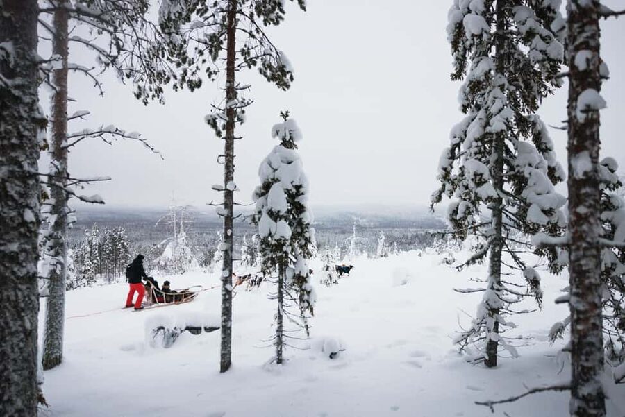 Rovaniemi: Arctic Circle Long Trail Husky Adventure - Who will enjoy this Husky safari most?