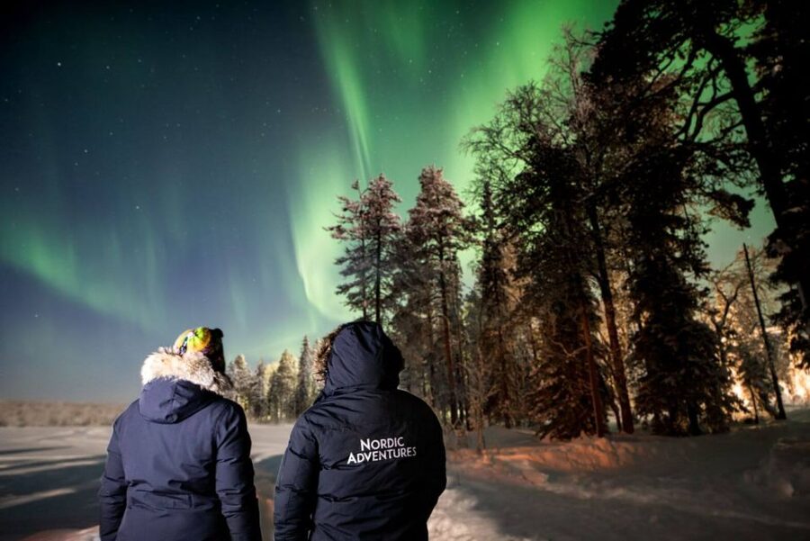 Rovaniemi: Arctic Ice Floating and Northern Lights Tour - What the $131 price really covers