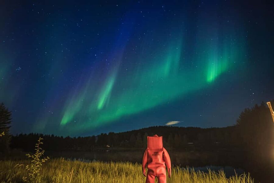 Rovaniemi: Arctic Ice Floating and Northern Lights Tour - Who will enjoy this, and who should skip it