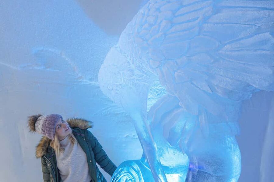 Rovaniemi: Arctic Snow Hotel Tour - What the Arctic SnowHotel experience is really like