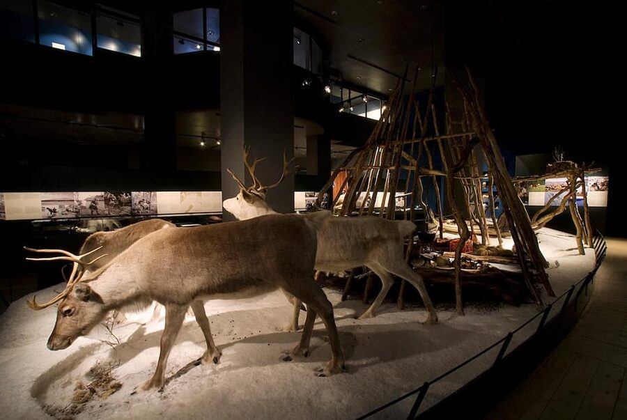 Rovaniemi: Arktikum Science Centre and Museum Entry Ticket - Northern Lights explained without the weather gamble