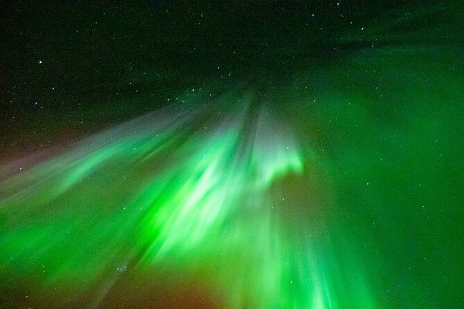 Rovaniemi: Aurora BBQ at the Best Spots - Why the Arctic lake and forest stop matters