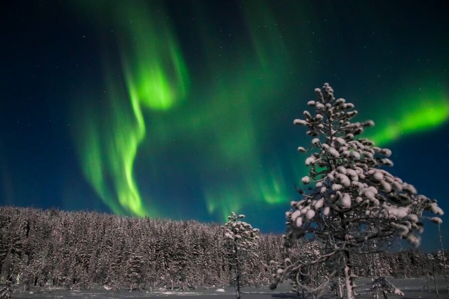 Rovaniemi: Aurora Borealis and Picnic - Is $108 a fair price?