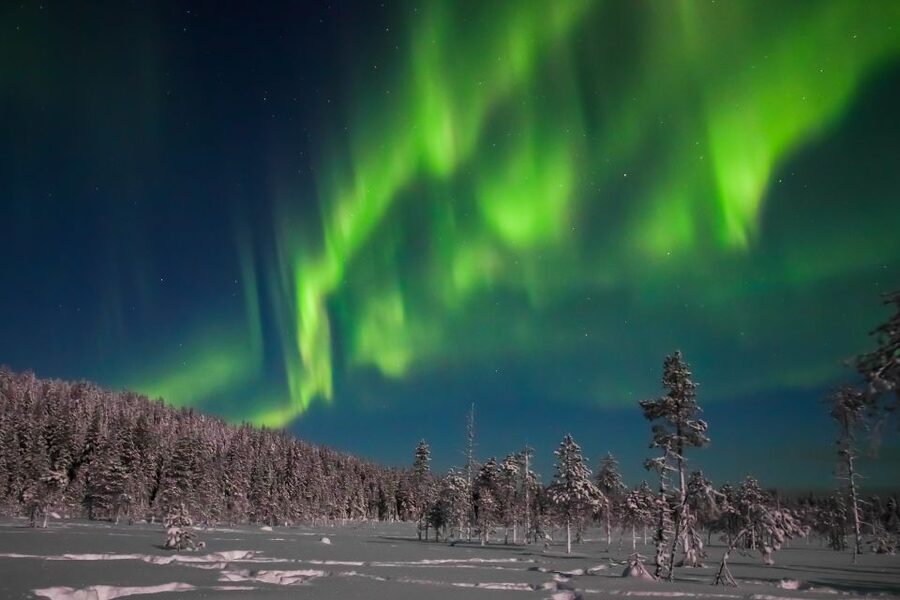 Rovaniemi: Aurora Borealis and Picnic - Should you book the Safartica aurora picnic?