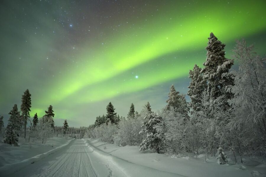 Rovaniemi: Aurora Borealis Snowmobile Safari with Campfire - Riding through forests and across frozen lakes