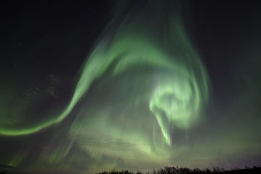Rovaniemi: Aurora Borealis Tour - Is $135 a fair price?