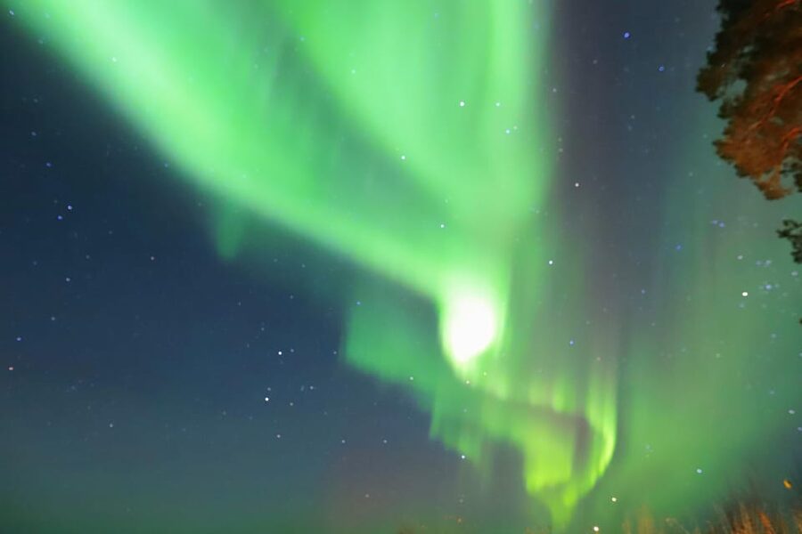 Rovaniemi: Aurora Borealis Trip – Autumn - Sausage, hot berry juice, and the fire