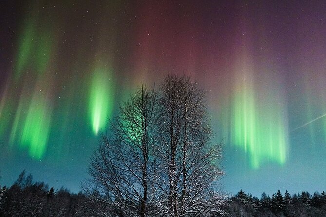 Rovaniemi: Aurora Hunt with Photograph & money back guarantee - Why this Rovaniemi aurora hunt is different