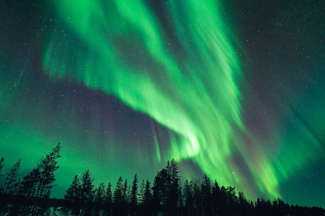 Rovaniemi: Aurora Hunt with Photograph & money back guarantee - Following the forecast out of Rovaniemi