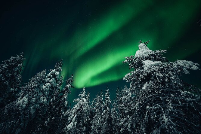 Rovaniemi: Aurora Hunt with Photograph & money back guarantee - The value of the $167.74 price