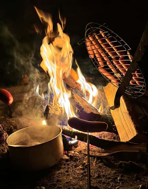 Rovaniemi: Aurora hunting and a fireside BBQ experience - Chasing the aurora beyond Rovaniemi’s lights
