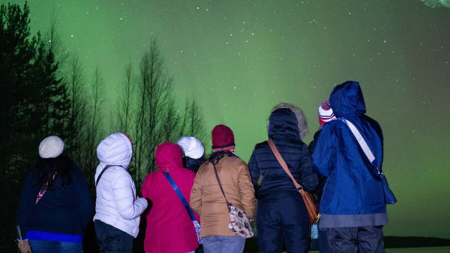 Rovaniemi: Aurora hunting and a fireside BBQ experience - What the reviews reveal about aurora chances