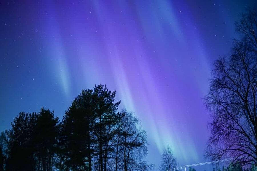 Rovaniemi: Aurora hunting and a fireside BBQ experience - Small details that make the night easier