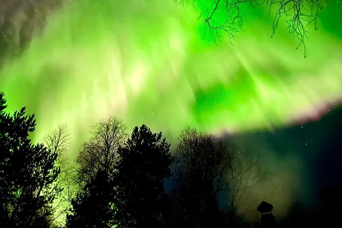 Rovaniemi: Aurora Hunting & Photography Tour - The real value of a $200.01 evening