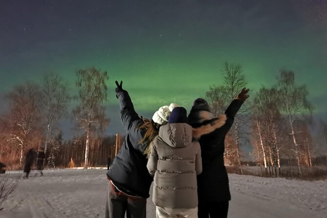 Rovaniemi: Aurora Hunting & Photography Tour - What happens if the lights do not appear