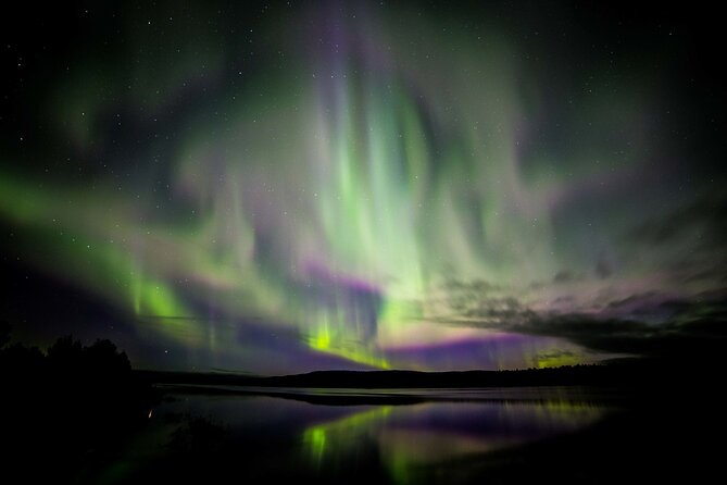 Rovaniemi Aurora Hunting Tour - Key points to know before you book