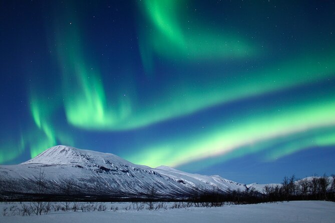 Rovaniemi Aurora Hunting Tour - Why this Rovaniemi aurora tour feels more personal