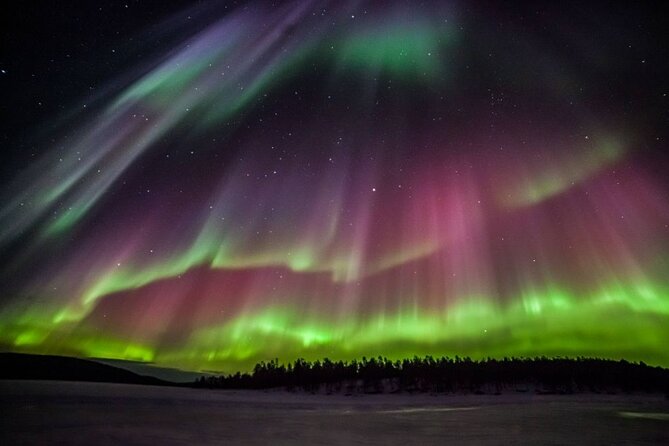 Rovaniemi Aurora Hunting Tour - Forest clearings, frozen water, and changing skies