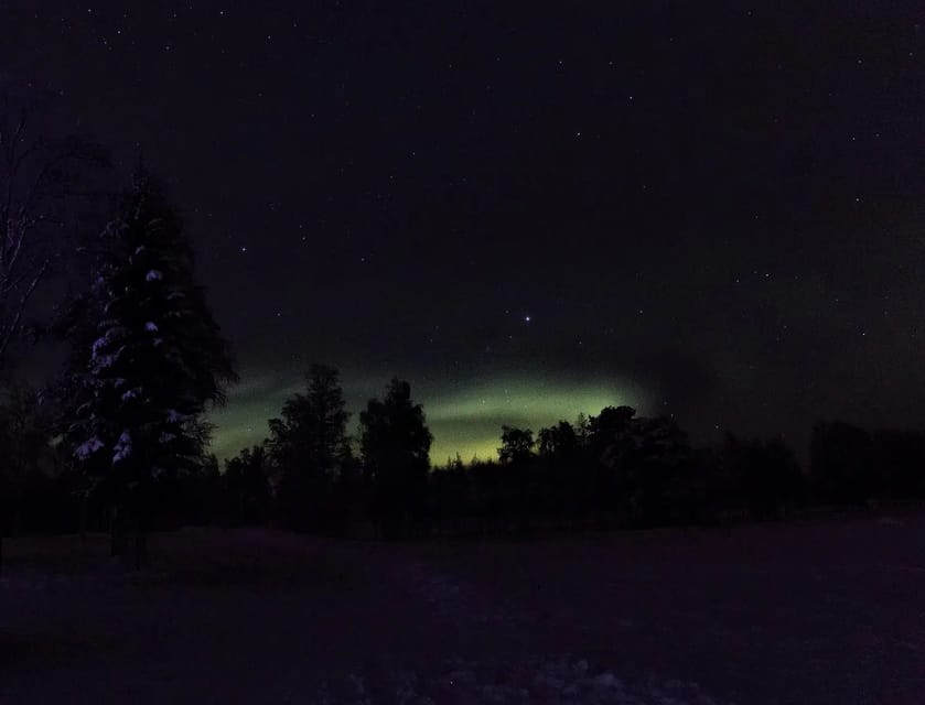 Rovaniemi: Aurora Hunting Tour in the Forest with Hot Drinks - What this Aurora hunt is really about