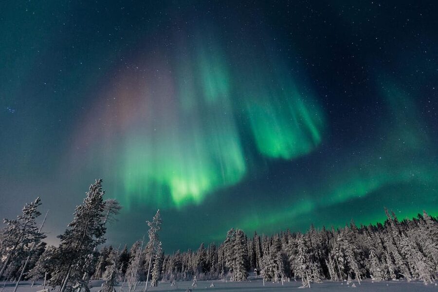 Rovaniemi: Aurora Hunting Tour in the Forest with Hot Drinks - How the Northern Lights search works