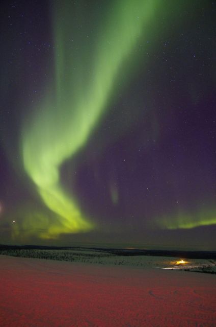 Rovaniemi: Aurora Hunting Tour with Photography by Van - Frozen lakes, dark skies, and the best viewing moments