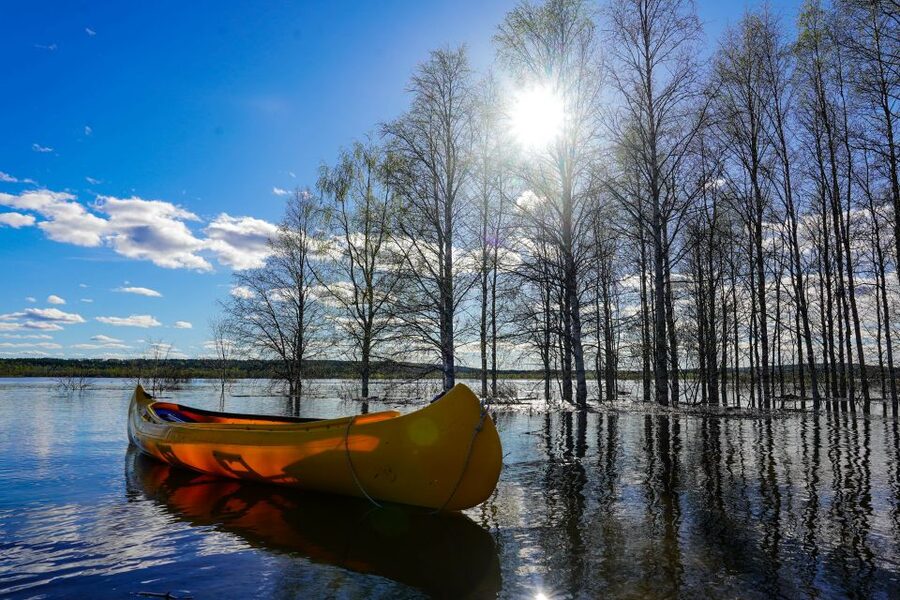Rovaniemi: Authentic Reindeer Farm & Canoeing - Who will get the most from this outing